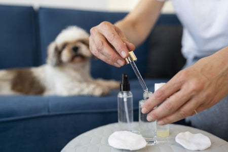 CBD para perros; conoce sus beneficios calmante