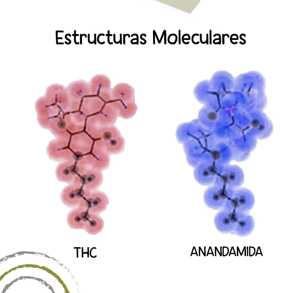 Estrutura Molecular Anandamida Isolada Em Branco Ilustração Stock