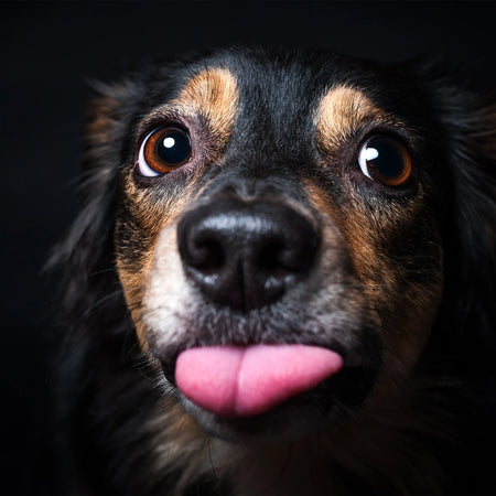 Aceite relajante: propiedades naturales para reducir el estrés y la ansiedad