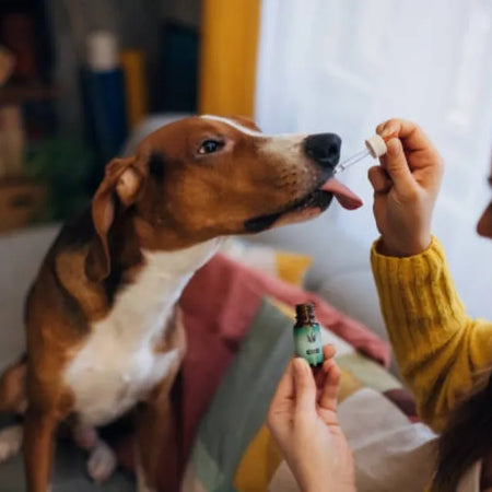 Mejor aceite CBD para animales 2026