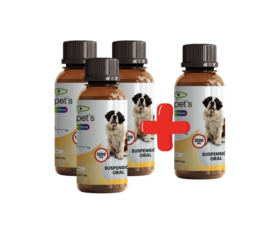 Hempets 1200 mg full | 3+1 gratis Pack