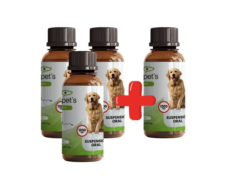 Hempets 1200 mg aislado | 3 más 1 gratis pack