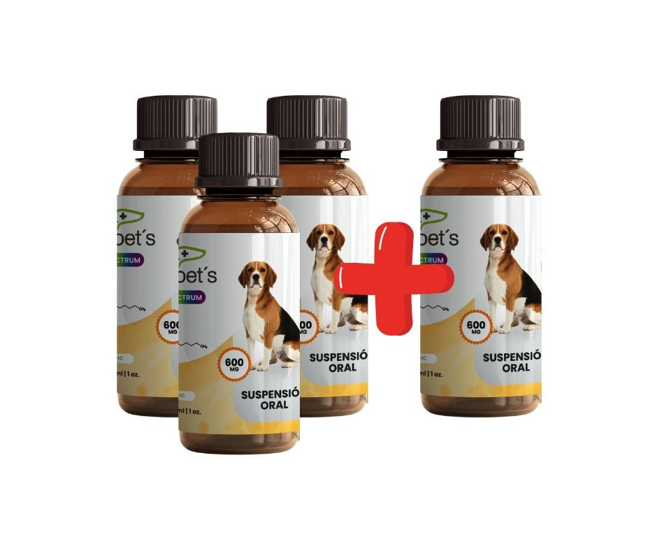 Hempets 600 mg full | 3+1 gratis Pack